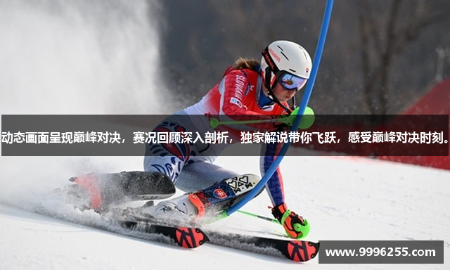 动态画面呈现巅峰对决，赛况回顾深入剖析，独家解说带你飞跃，感受巅峰对决时刻。
